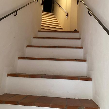 La Ginestra - Terrazza Lejlighed Orciatico Eksteriør billede