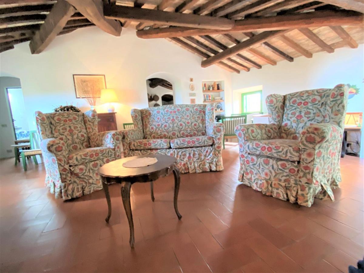 La Ginestra - Terrazza Lejlighed Orciatico Eksteriør billede